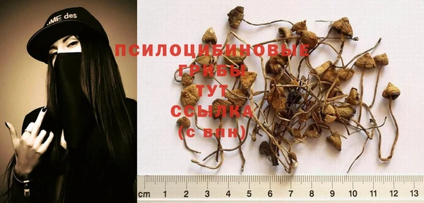 скорость Алексин